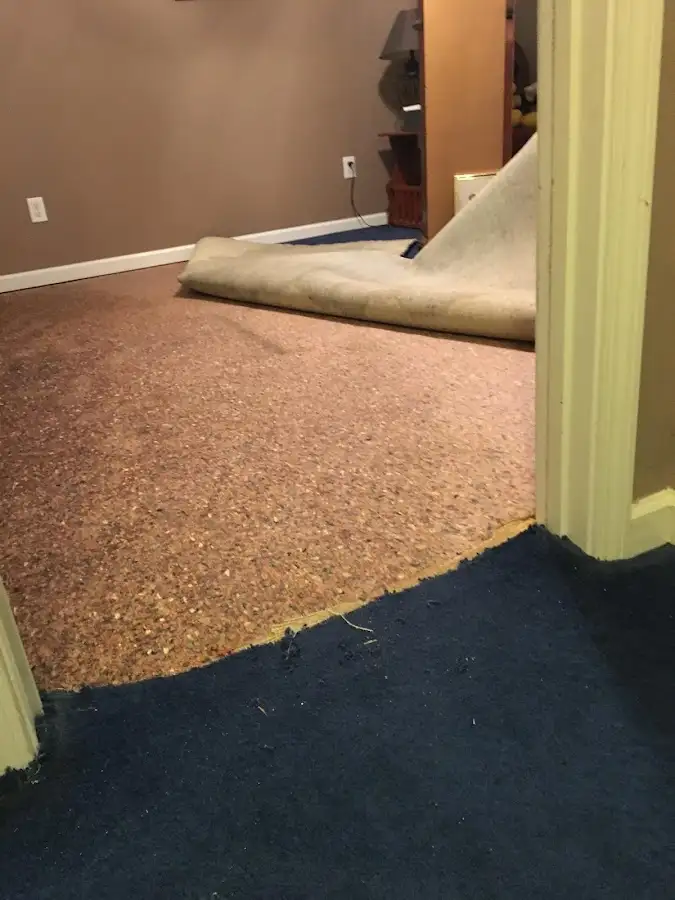 Carpet pad removal revealing water damage during Drying & Dehumidification in Cottleville