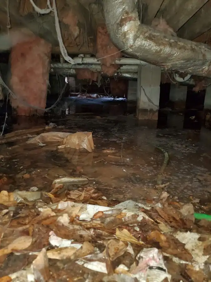 Crawl space flood assessment for Commercial Water Damage Restoration in Cottleville
