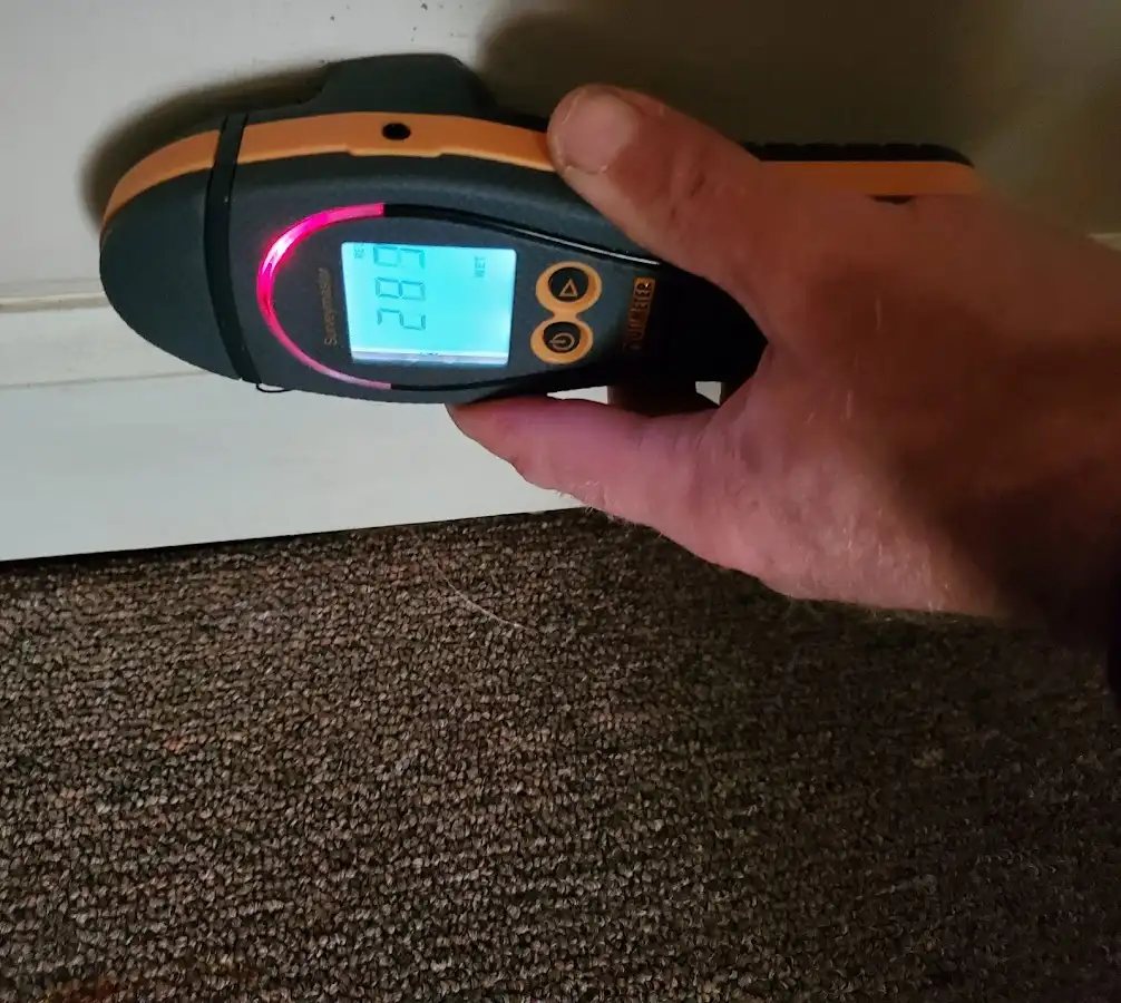Moisture detection at baseboard during Sewage Cleanup & Sanitation in Cottleville